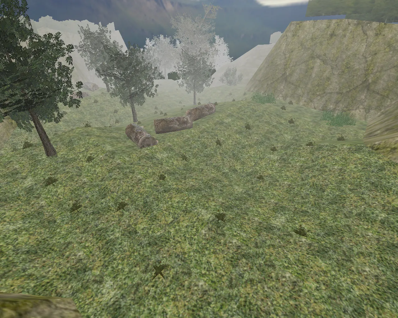 Скачать Карта awp_forest_cs для CS 1.6: прицелы, позиции, AWP-матч, баланс сторон и ботов .nav - Скриншот