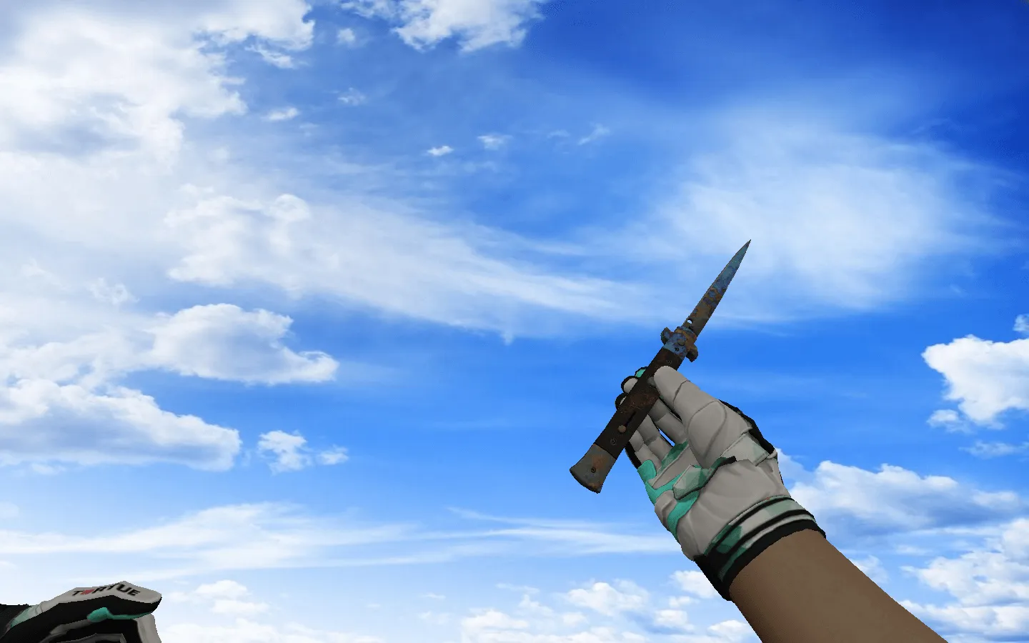Пак оружия CS 1.6 с мотоциклетными перчатками «Мята»: AK-47, AWP, DE, Glock-18, M4A4, SSG 08, USP-S и ножи — скриншот 10