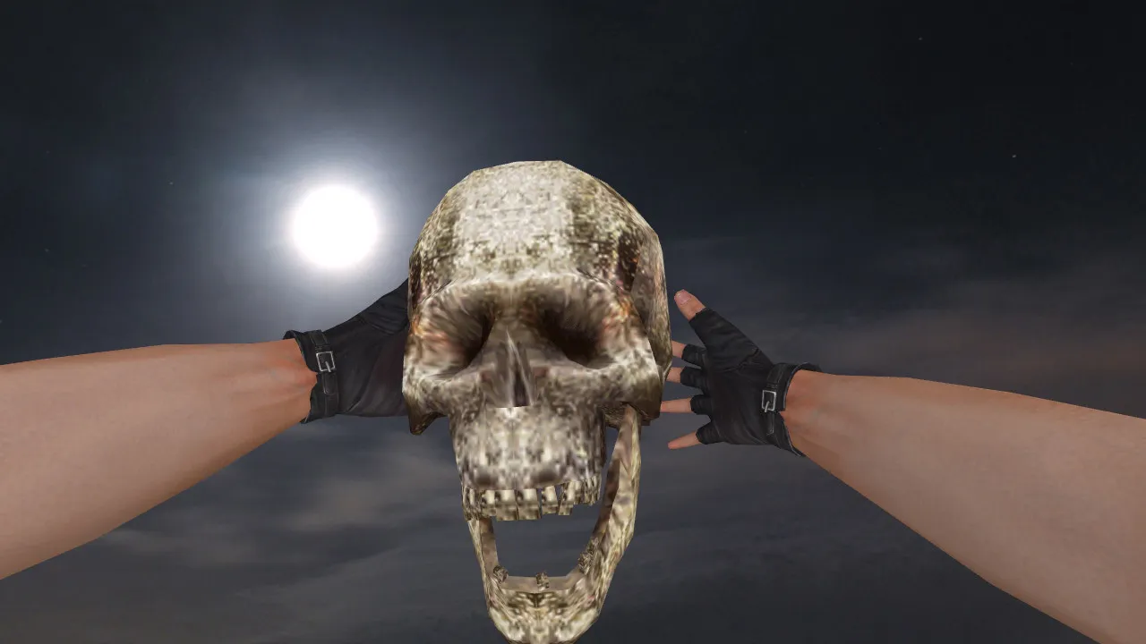 Скачать Модель «Human Skull Grenade» для CS 1.6: v_, p_, w_ гранаты, звук и анимация осмотра - Скриншот