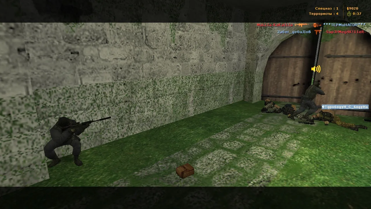de_green для CS 1.6: тактика, точки, .nav для ботов и оптимизация wpoly/epoly — скриншот 13