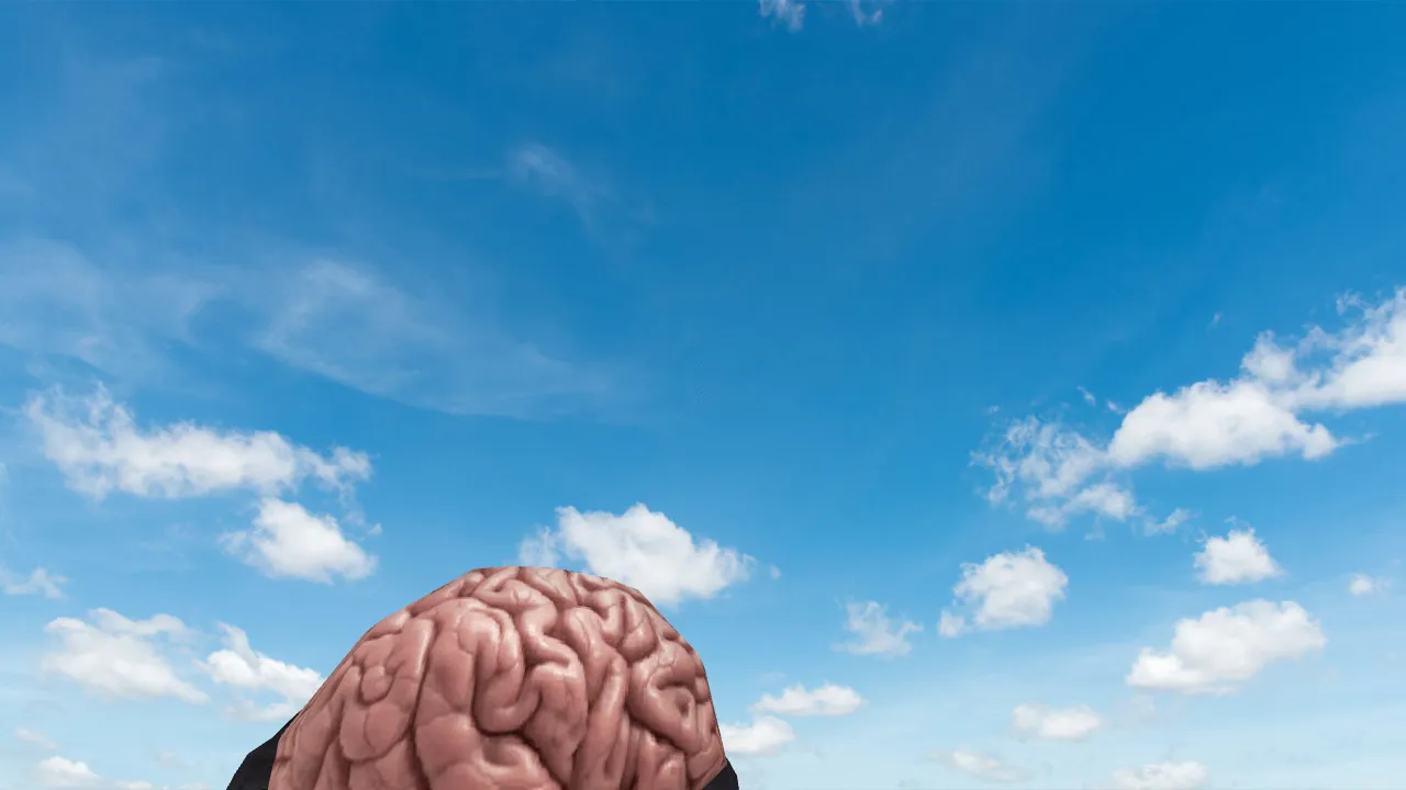 Модель «Brain Grenade» для CS 1.6: v_, p_, w_ гранаты, звуки, анимация осмотра, качество текстур — скриншот 1