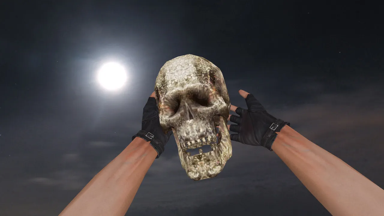 Скачать Модель «Human Skull Grenade» для CS 1.6: v_, p_, w_ гранаты, звук и анимация осмотра - Скриншот