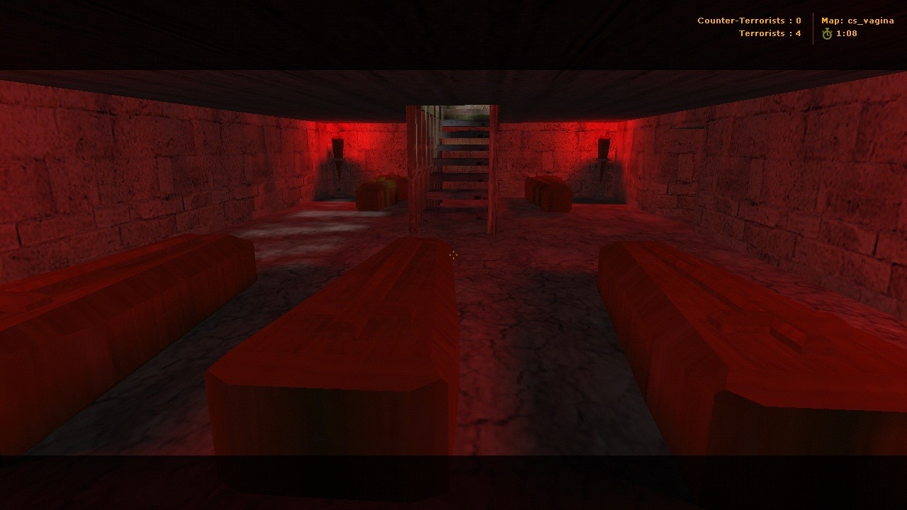 cs_vagina - скриншот 3