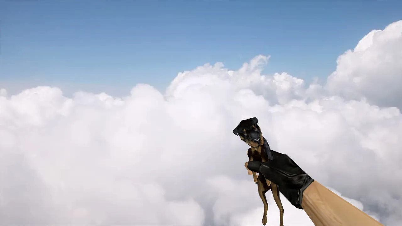 Скачать Модель «Dog Grenade» для CS 1.6: v_, p_, w_ модели, звуки, анимация осмотра и качество текстур - Скриншот