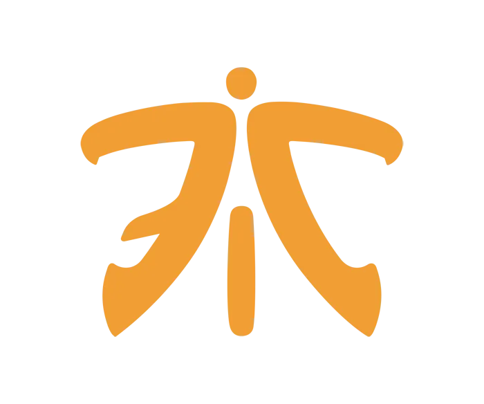Скачать Граффити «Fnatic Logo» для CS 1.6 - Оформите свою игру стильно - Скриншот